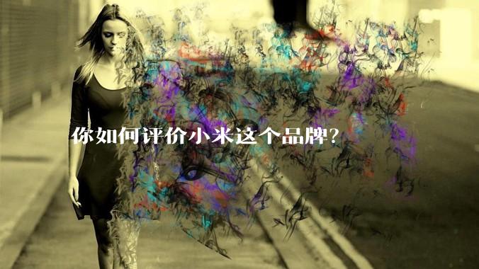 你如何评价小米这个品牌？